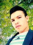 bayram kurt, 26 лет, Sinop