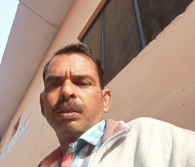 Anil kumar, 45 лет, New Delhi