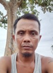 Aris,z, 42 года, Kota Palembang