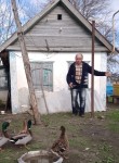 Олег, 37 лет, Краснодар