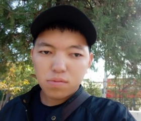 Темирлан, 29 лет, Бишкек