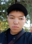 Темирлан, 29 лет, Бишкек