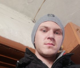 Денис, 27 лет, Партизанск