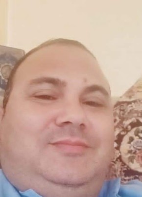احمد الحداد, 46, جمهورية مصر العربية, الإسكندرية
