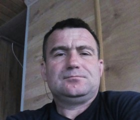 Сергей, 53 года, Тула