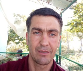 Мансур Шоякубов, 44 года, Toshkent