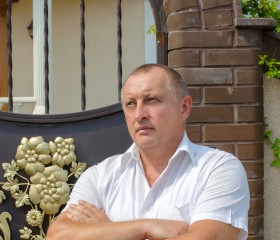 Иван, 51 год, Демидов