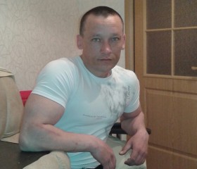 Владимир, 44 года, Невьянск