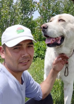 Bekboss, 30, Russia, Krasnodar