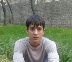 Владимир, 33 года, Toshkent