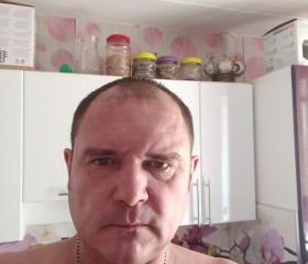 Андрей, 45 лет, Осинники