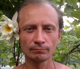 Mitja V-k, 42 года, Radom
