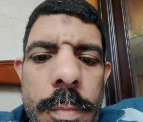هانى, 46, Cairo