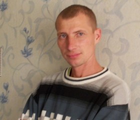 василий, 41 год, Железногорск (Курская обл.)