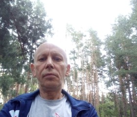 Александр, 54 года, Димитровград
