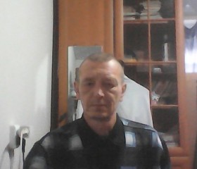 Александр, 49 лет, Сыктывкар
