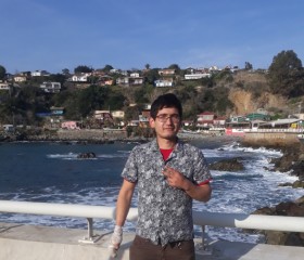 Esteban, 30 лет, Valparaíso