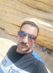 Mostafa Abdo, 42 года, القاهرة