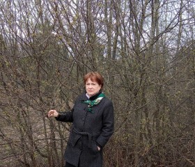 Irina, 70, Vsevolozhsk