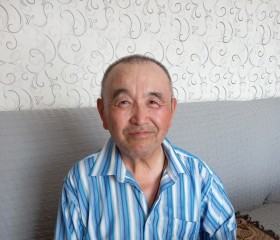 Михаил, 62 года, Щучье