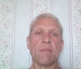Александр, 51 год, Волчанск
