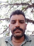 Kartar Singh, 39 лет, Dharamshala