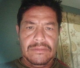 Angel, 43 года, San Nicolás de los Garzas