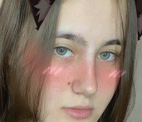 Диана, 22 года, Новосибирск