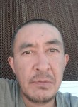 Эрлан , 42 года, Бишкек