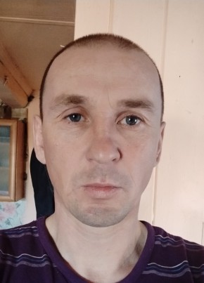 Андрей, 44, Россия, Дровяная