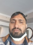 Prakash janwa, 41 год, الإسكندرية
