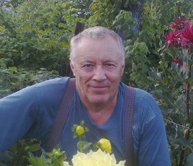 sergey, 68 лет, Льговский