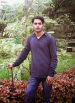 alam sheikh, 30 лет, Agra