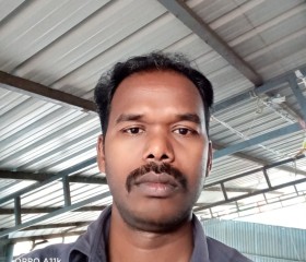 Karuppanan.s, 34 года, Chennai