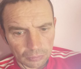 Денис, 44 года, Астана