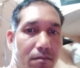 Vijay Sharma, 39 лет, Kanpur