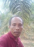 Bambang, 34 года, Tebingtinggi