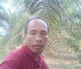 Bambang, 36, Tebingtinggi