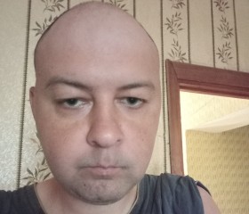 Алексей, 37 лет, Ростов