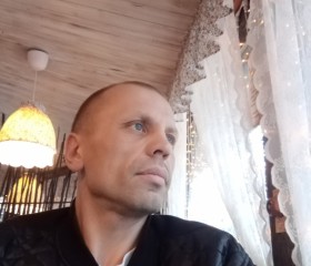 Иван, 42 года, Йошкар-Ола