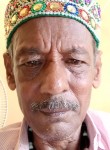Mogal Khadarbaig, 65 лет, Nellore