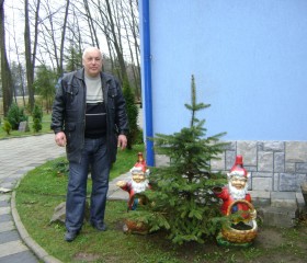 александр, 66 лет, Кривий Ріг