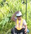 Apek