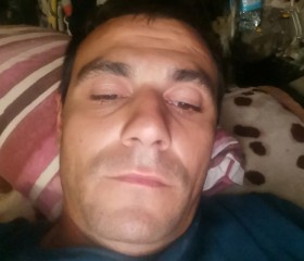 Vasile , 34 года, Pontedera