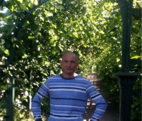 Сергей, 44 года, Таруса