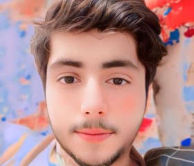Ladlaarslan, 18 лет, اسلام آباد