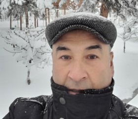 Odil Abdullayov, 59 лет, Toshkent