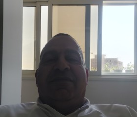 Wael, 53, Cairo