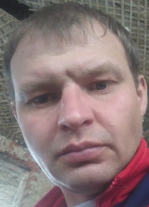 СЕРГЕЙ, 36, Россия, Кольчугино