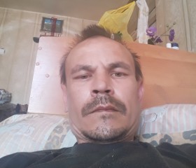 Владимир, 43 года, Белоомут